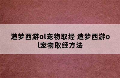 造梦西游ol宠物取经 造梦西游ol宠物取经方法